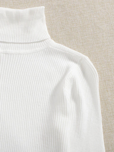 2pcs Ribbed Knit Turtleneck Sweater - zettrobe