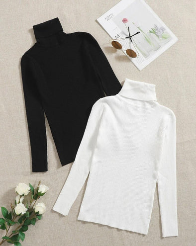 2pcs Ribbed Knit Turtleneck Sweater - zettrobe